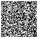 QR code with Cunningham Consulting contacts