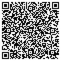 QR code with Colors contacts