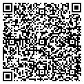 QR code with TDSI contacts