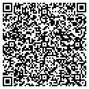 QR code with Problem Solvers Inc contacts