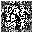 QR code with Professional Access contacts