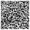 QR code with Public Storage contacts