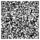QR code with Pyramid Masonry contacts