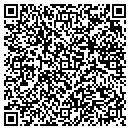 QR code with Blue Hydrangea contacts