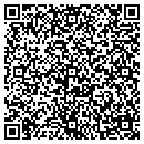 QR code with Precision Detectors contacts