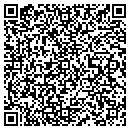 QR code with Pulmatrix Inc contacts
