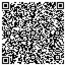 QR code with Binary Technology Co contacts