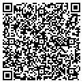QR code with Nettex contacts