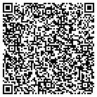 QR code with Brian's Auto Detailing contacts
