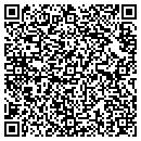 QR code with Cognisa Security contacts
