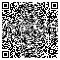 QR code with Dolphin contacts