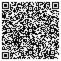QR code with Todd C Gordon contacts