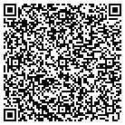 QR code with Professional Machine Inc contacts