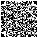 QR code with Cape Network Solutions contacts