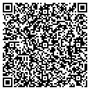 QR code with Consultancy Group Inc contacts