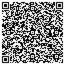 QR code with Carlson Surveying Co contacts