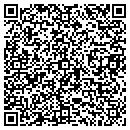 QR code with Professional Masonry contacts