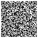 QR code with Cyber Communications contacts