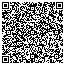 QR code with Pyles Clock Shop contacts