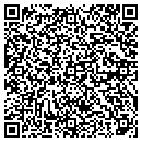 QR code with Production Basics Inc contacts