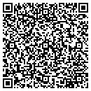 QR code with Professional Simonizing contacts