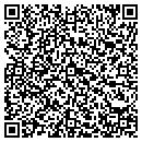 QR code with Cgs Landcaping LLC contacts