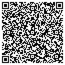 QR code with Cybernet Engineering contacts