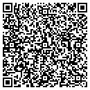 QR code with Carol Fernandes CPA contacts