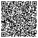 QR code with Tangos contacts