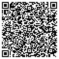 QR code with Noggins contacts
