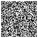 QR code with Cochise Clock Doctor contacts
