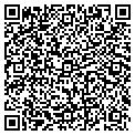 QR code with Lasersoft Inc contacts
