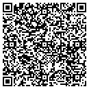 QR code with Blue River Systems contacts