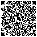 QR code with Punch Line Products contacts