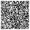 QR code with David Damato contacts