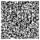 QR code with Public Works contacts