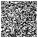 QR code with Programmer Consultant contacts