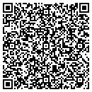 QR code with Productivity Dynamics contacts