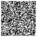 QR code with Neads contacts