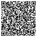 QR code with P Shah contacts