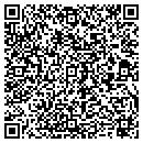 QR code with Carver Public Library contacts