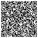 QR code with Pulsifer & Assoc contacts