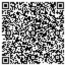 QR code with Pyramid Foods Inc contacts