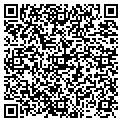 QR code with Wise Windows contacts