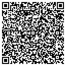 QR code with Analog Group contacts