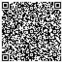 QR code with Punto Rojo contacts