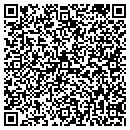QR code with BLR Development Inc contacts
