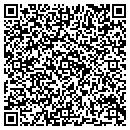 QR code with Puzzling Times contacts