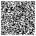 QR code with Sdg Consulting contacts