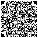 QR code with Crayon Consulting Inc contacts